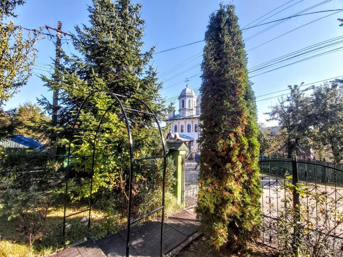 Pensiunea Agroturistica Piscul Soarelui Câmpulung Buitenkant foto