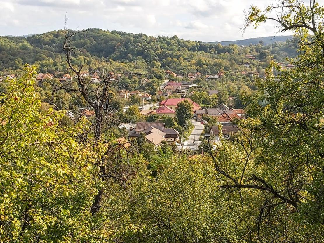 Pensiunea Agroturistica Piscul Soarelui Câmpulung Buitenkant foto