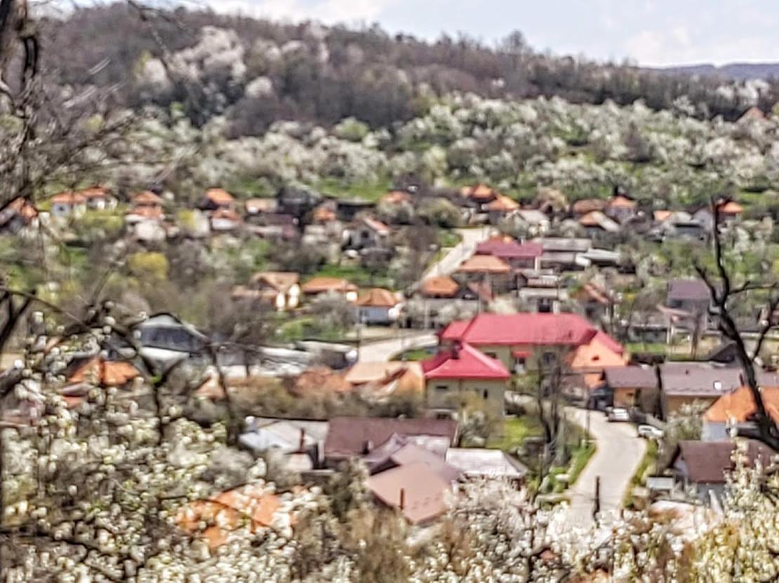 Pensiunea Agroturistica Piscul Soarelui Câmpulung Buitenkant foto