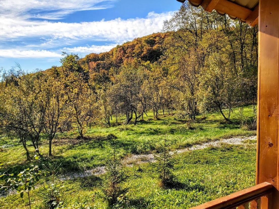Pensiunea Agroturistica Piscul Soarelui Câmpulung Buitenkant foto