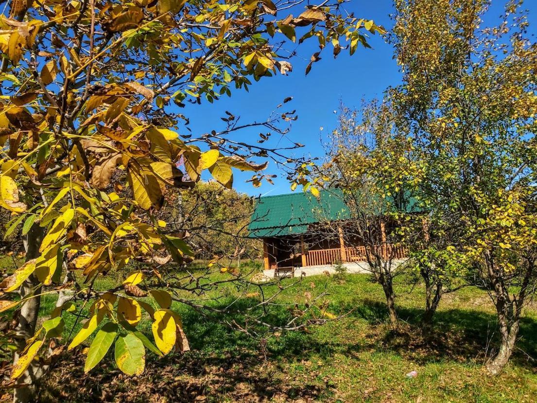 Pensiunea Agroturistica Piscul Soarelui Câmpulung Buitenkant foto